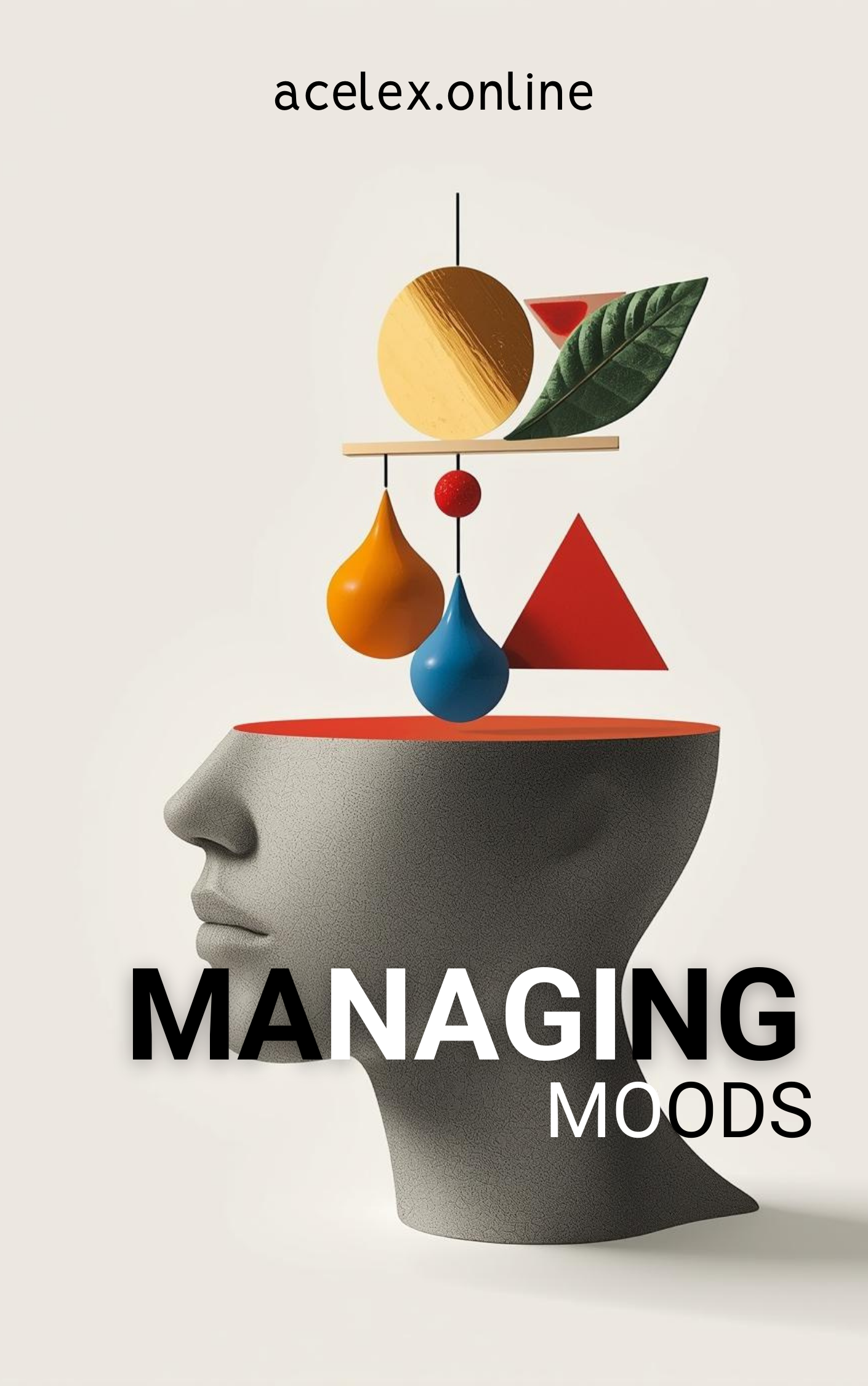 home black and white simple business book cover (3)