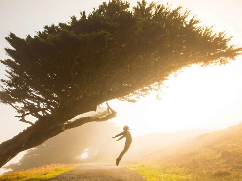 Discover 5 shocking secrets to building motivation daily. Unlock unstoppable drive, achieve your goals, and transform your life with this free guide.